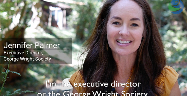 GWS ED Call-to-Action
